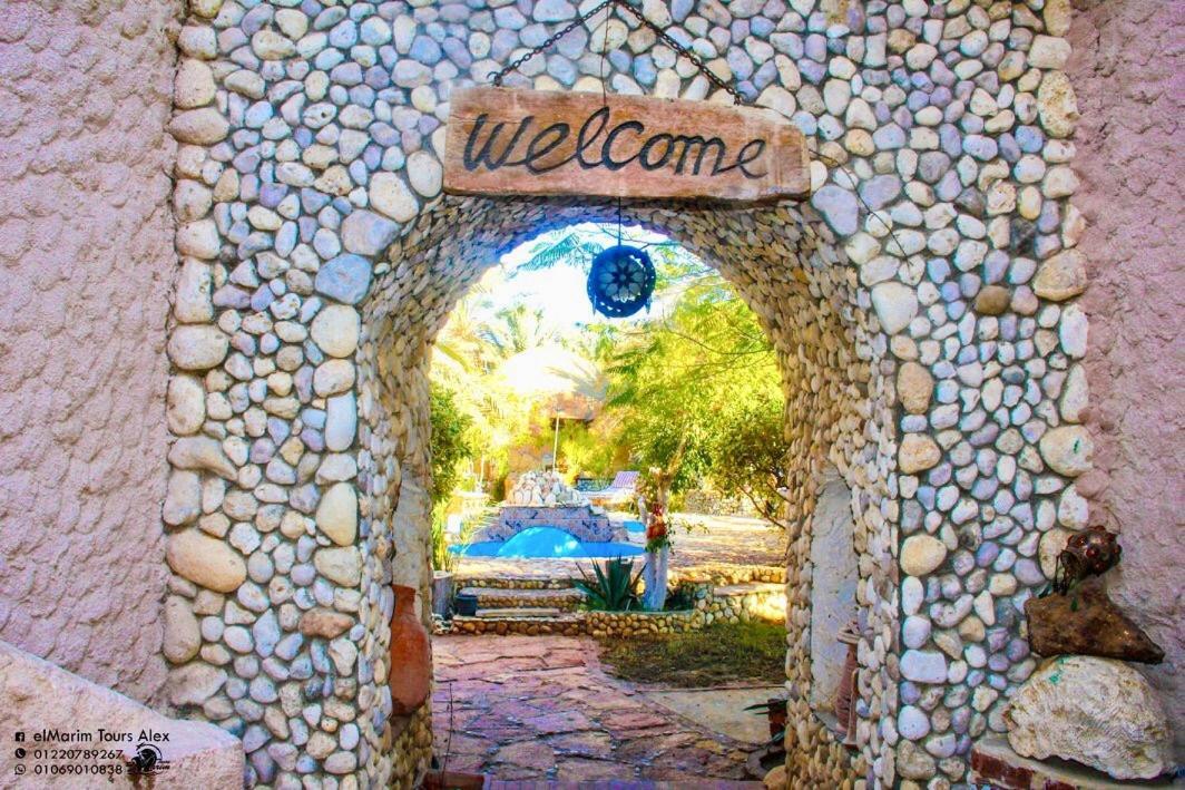 Dream Lodge Siwa Siwa Oasis Exterior photo