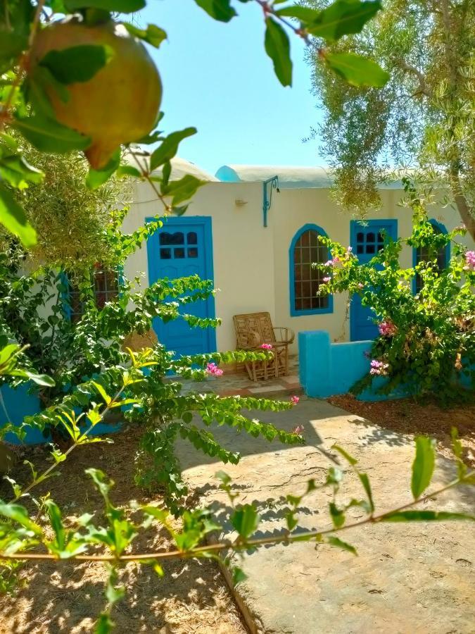 Dream Lodge Siwa Siwa Oasis Exterior photo