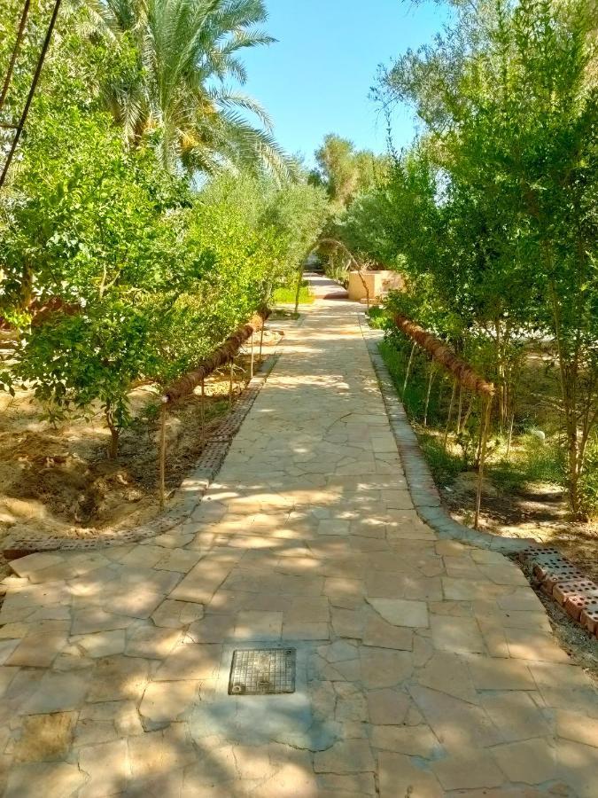 Dream Lodge Siwa Siwa Oasis Exterior photo